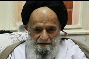 مرحوم حجت الاسلام سید محمد حسینی-کاشانی