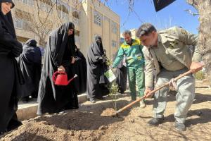 پویش درختکاری (6)