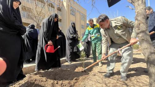 پویش درختکاری (6)
