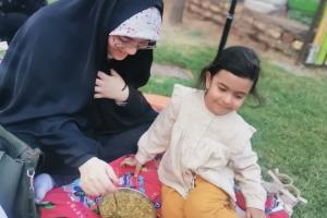 نشست تکمیلی